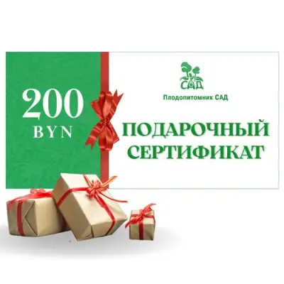 Подарочный сертификат на 200 BYN в Брянске