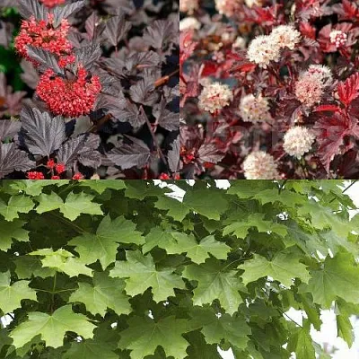 Комплект ОСЕННИЙ КОСТЕР в Брянске