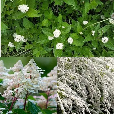 Комплект СКАНДИНАВСКИЙ СТИЛЬ в Брянске