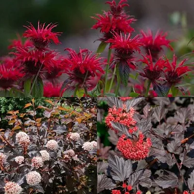 Комплект ОГНЕННЫЙ МИКС в Брянске