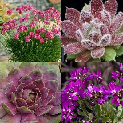 Комплект МИНИ САД в Брянске