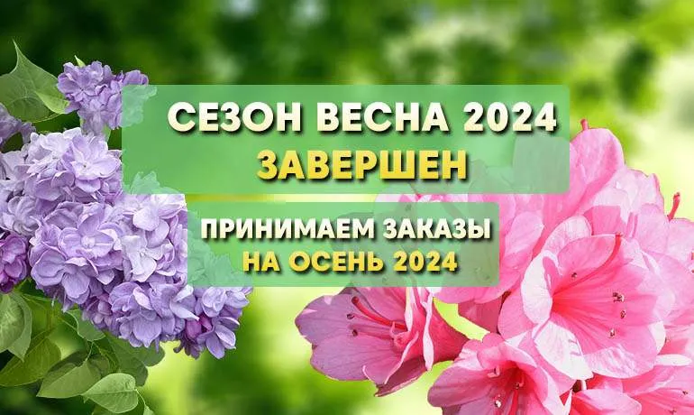 Сезон ВЕСНА 2024 ЗАВЕРШЕН